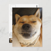 カおもしろいワイトなスマイル ポストカード (正面/裏面)