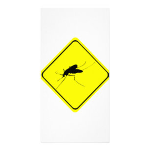 カの警告標識の迷惑の昆虫か虫の害虫 カード