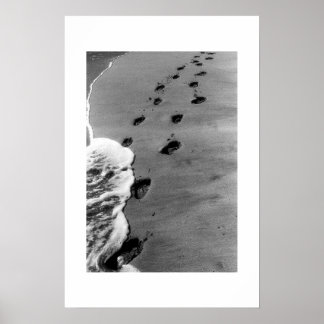 カアナパリビーチ ポスター