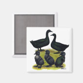 カイウガモ科 マグネット (正面/裏面)