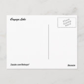 カイウガ湖の柳 ポストカード (裏面)