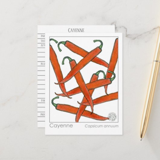 カイエンペッパーマテリアメディカハーブ勉強カード ポストカード (正面/裏面インサイチュ)