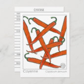 カイエンペッパーマテリアメディカハーブ勉強カード ポストカード (正面/裏面)