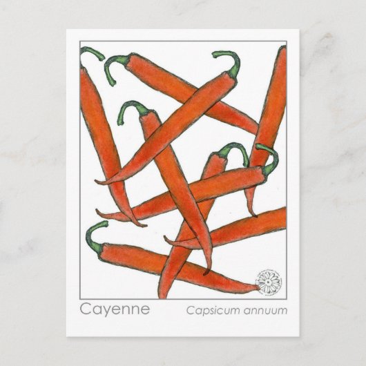 カイエンペッパーマテリアメディカハーブ勉強カード ポストカード (正面)