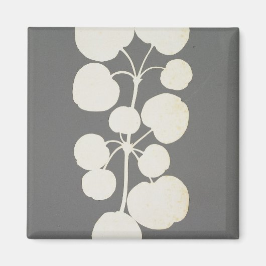 カイエンペッパー マグネット (正面)