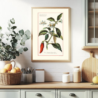 カイエンペッパー - ヴィンテージ植物画イラスト ポスター