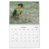 カイクカレンダー2010 カレンダー (2月 2026)