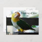 カイケはがき ポストカード (正面/裏面)