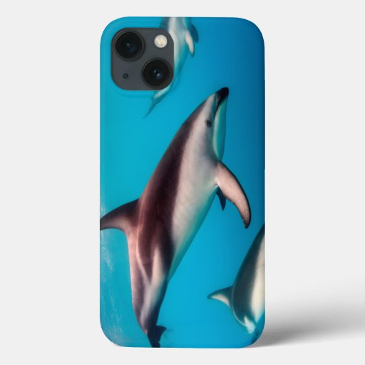 カイコウラ沖のハンドウイルカの群れ Case-Mate iPhoneケース (裏面)