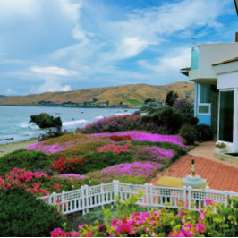 カイコス・カリフォルニア ジグソーパズル