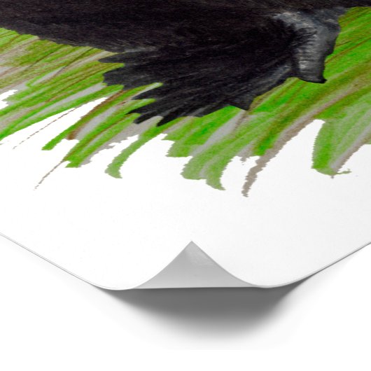 カイコ:ロスターの詰め合わせ ポスター (角)