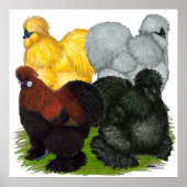 カイコ:ロスターの詰め合わせ ポスター (正面)