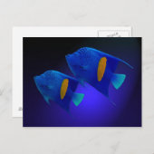 カイザーフィシュパール ポストカード (正面/裏面)