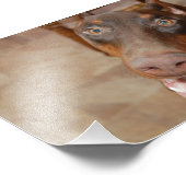 カイザー フォトプリント            (角)