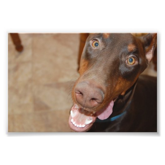 カイザー フォトプリント            (正面)