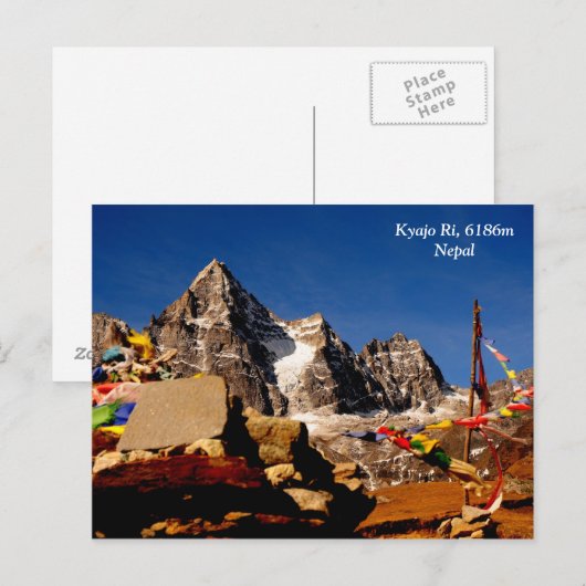 カイジョリ ポストカード (正面/裏面)