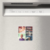 カイトリン磁石 マグネット (インサイチュ (食洗機))