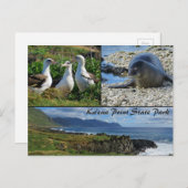 カイナポイント州パーク,オアフ,ハワイ ポストカード (正面/裏面)