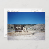 カイバブ国有林野標識 ポストカード (正面/裏面)