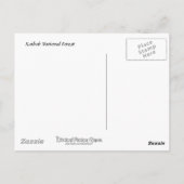 カイバブ国有林野標識 ポストカード (裏面)