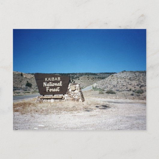 カイバブ国有林野標識 ポストカード (正面)