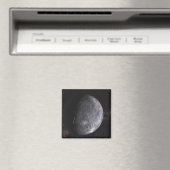 カイパーベルト物体 マグネット (インサイチュ (食洗機))