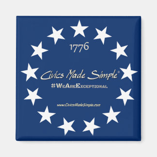 カイビックス製シンプル磁石 マグネット