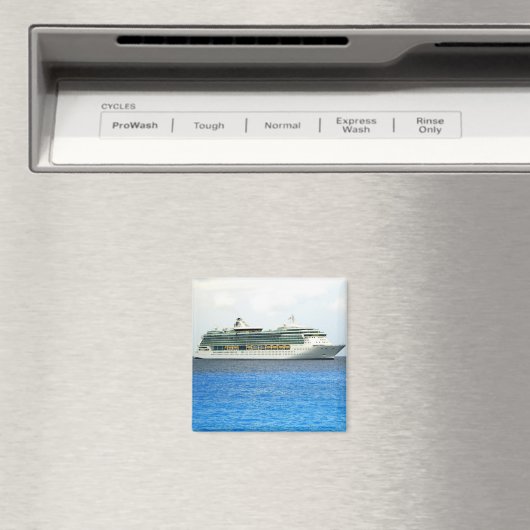 カイマンの輝き マグネット (インサイチュ (食洗機))