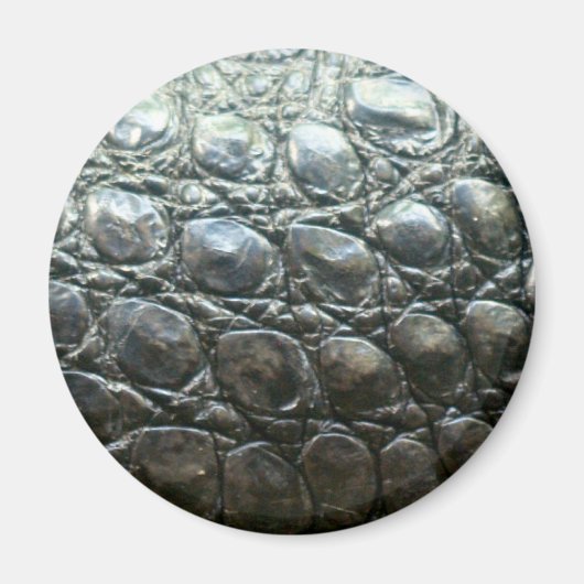 カイマンワニフェイクワニ皮デザイン マグネット (正面)