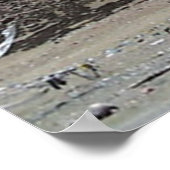 カイラシュ自由ポール ポスター (角)