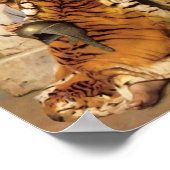 カイロのペルトマーチャントCanvas Print ポスター (角)