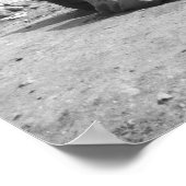 カイロエジプト、ラクダ・ジョッキーGiza Pyramids (NR) 2 ポスター (角)