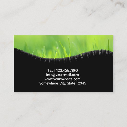 カイロプラクターのカイロプラクティックの自然の脊柱の健康 名刺 (裏面)