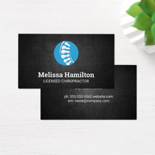 カイロプラクター |背骨の構造 (デスク)