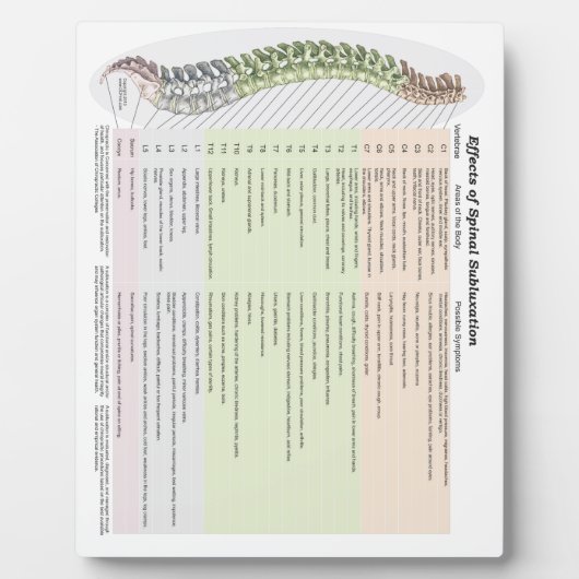 カイロプラクティックの脊椎亜脱臼の影響 フォトプラーク (正面)