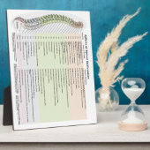 カイロプラクティックの脊椎亜脱臼の影響 フォトプラーク (側面)