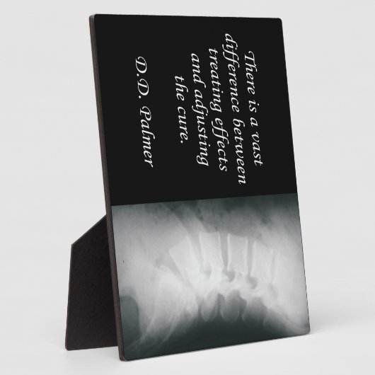 カイロプラクティックアジャストザキュアイーゼル フォトプラーク (側面)