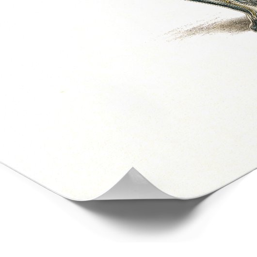 カイロプラクティックヘルス引用文とことわざ ポスター (角)