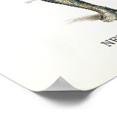 カイロプラクティックヘルス引用文とことわざ ポスター (角)