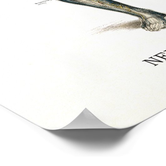 カイロプラクティックヘルス引用文とことわざ ポスター (角)