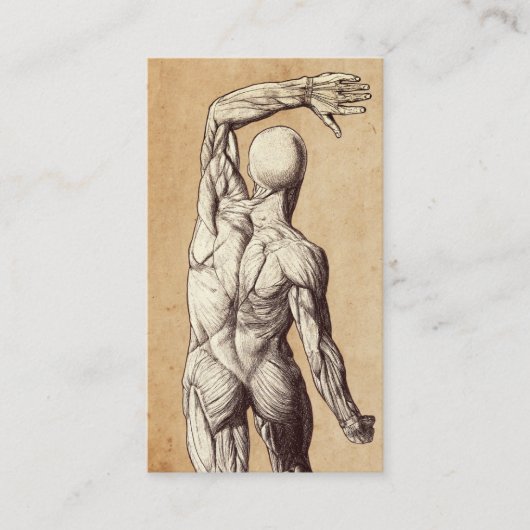 カイロプラクティックヴィンテージヒト解剖学カイロプラクター 名刺 (正面)