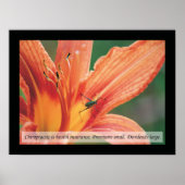 カイロプラクティック引用文とことわざ健康ポスター ポスター (正面)