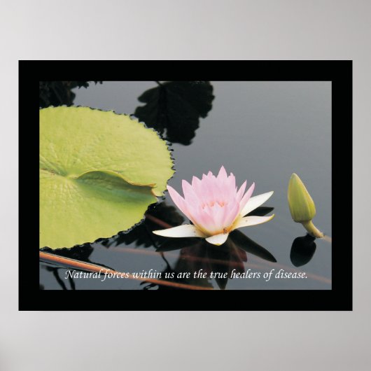 カイロプラクティック引用文とことわざ健康ポスター ポスター (正面)