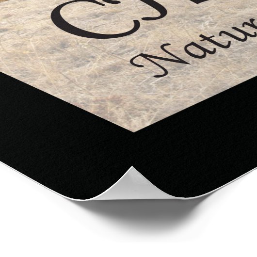 カイロプラクティック引用文とことわざ自然 ポスター (角)