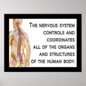 カイロプラクティック神経引用文ポスタカスタマイズー ポスター (正面)