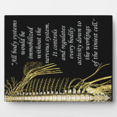 カイロプラクティック神経系引用文イーゼル フォトプラーク (正面)