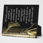 カイロプラクティック神経系引用文イーゼル フォトプラーク (側面)