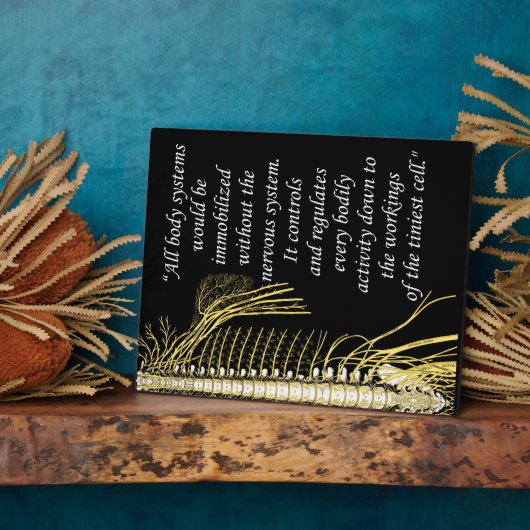 カイロプラクティック神経系引用文イーゼル フォトプラーク (側面)