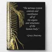 カイロプラクティック神経系引用文イーゼル フォトプラーク (正面)