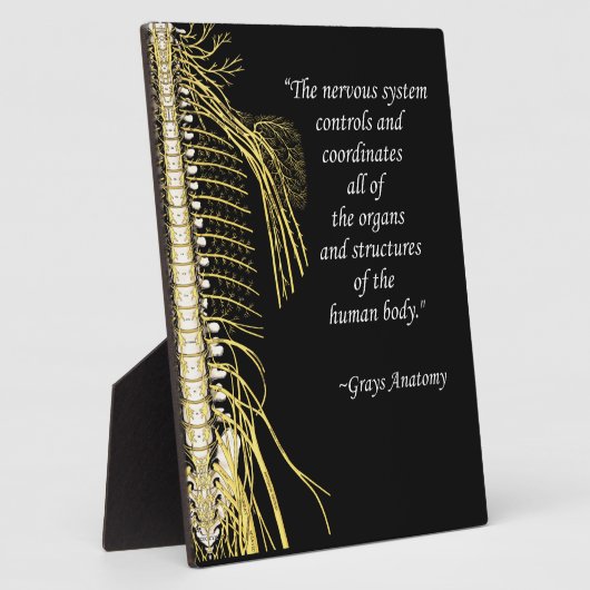 カイロプラクティック神経系引用文イーゼル フォトプラーク (側面)